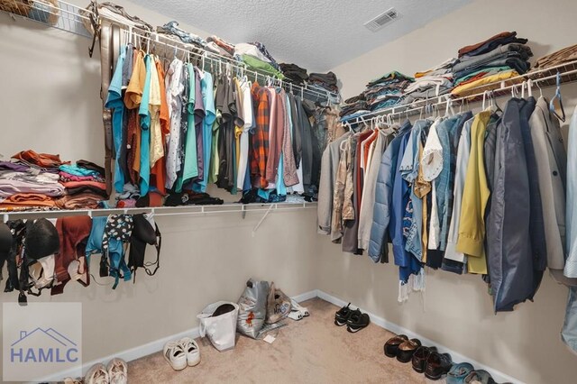 23 Veranda Trl, Midway, GA 31320 - walk in closet with carpet