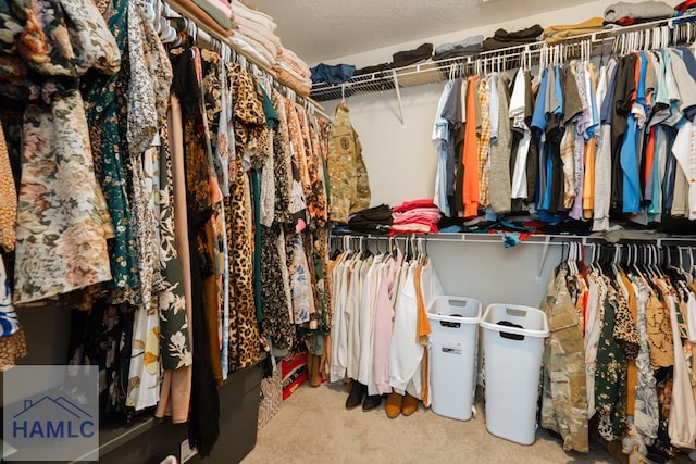 walk in closet with carpet floors