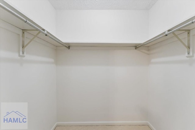 view of walk in closet