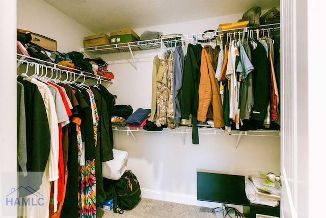 spacious closet with carpet flooring