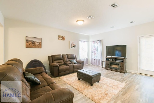 living room featuring a fireplace and light hardwood / wood-style flooring