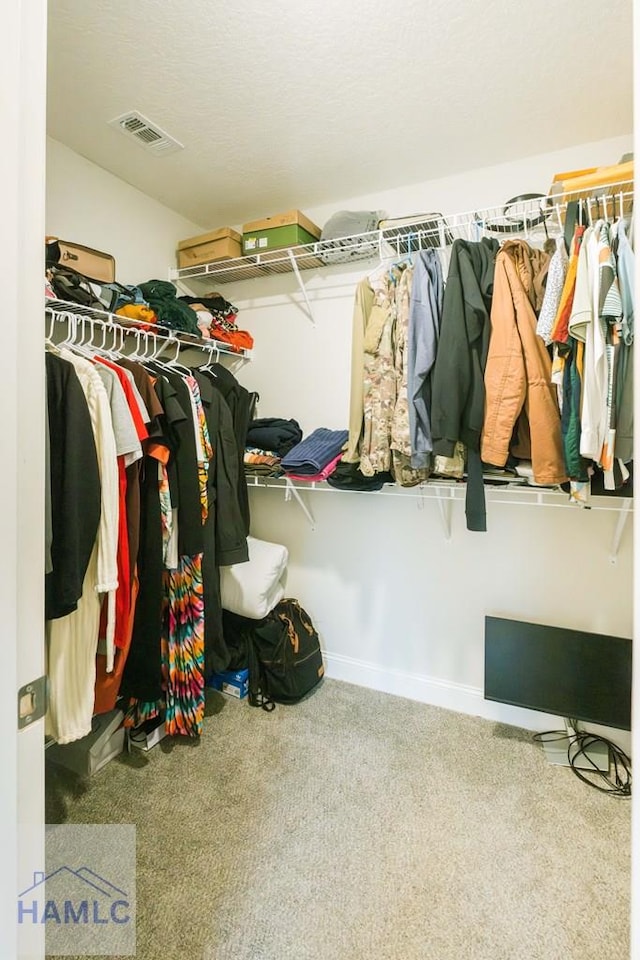 walk in closet with carpet