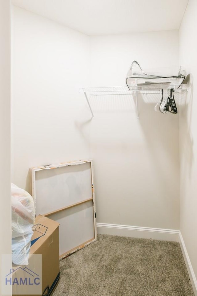 spacious closet with carpet floors