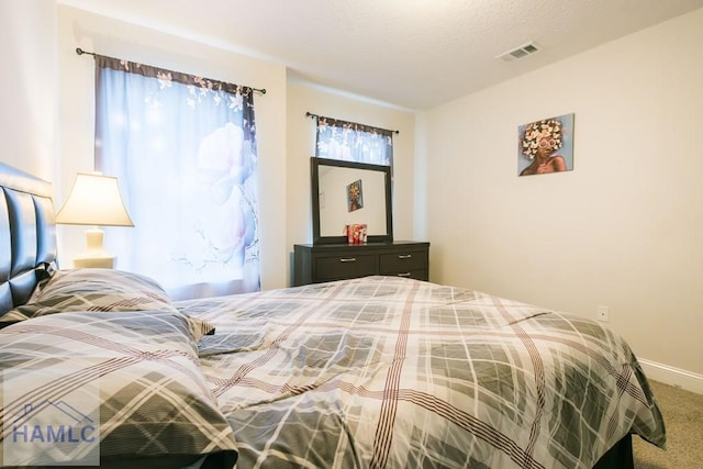 carpeted bedroom featuring multiple windows