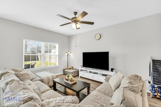 living room with ceiling fan and hardwood / wood-style floors