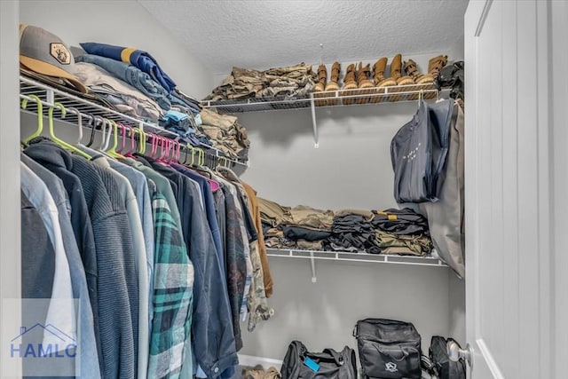 view of spacious closet