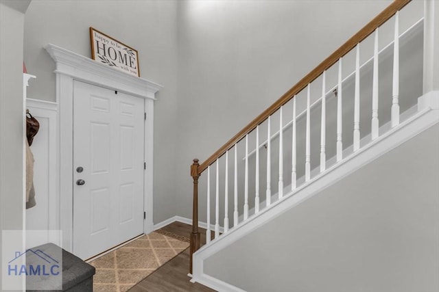 foyer featuring dark wood-type flooring