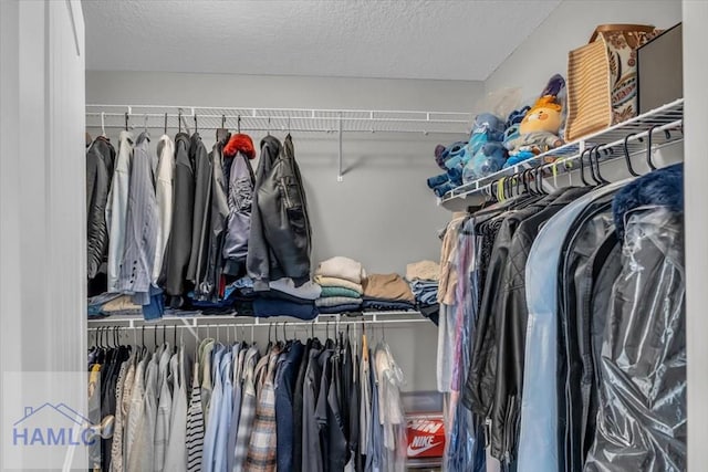 view of walk in closet