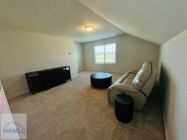 173 Akins Ranch Rd NE, Ludowici, GA 31316 - living area with vaulted ceiling and carpet