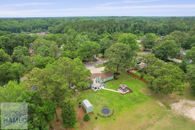 226 Topi Trl, Hinesville, GA 31313 - bird's eye view of a forest