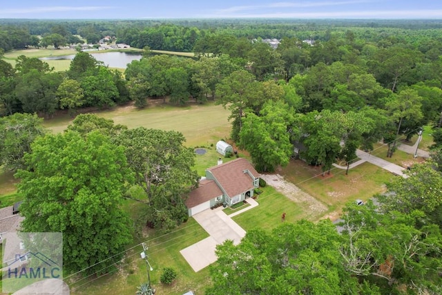 226 Topi Trl, Hinesville, GA 31313 - aerial view of a large body of water and a forest