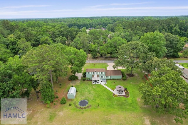 226 Topi Trl, Hinesville, GA 31313 - bird's eye view of a heavily wooded area