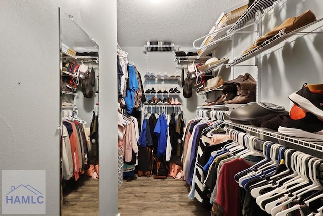 226 Topi Trl, Hinesville, GA 31313 - walk in closet with wood finished floors