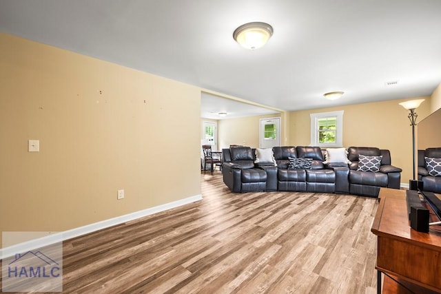 1869 Freedman Grove Rd, Fleming, GA 31309 - living room with healthy amount of natural light and light wood finished floors