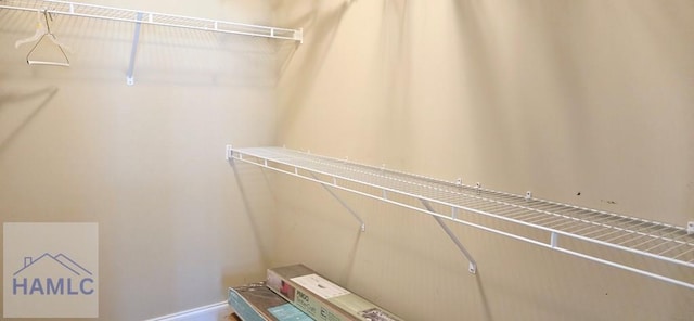 14 Cantebury Rd, Ludowici, GA 31316 - view of spacious closet