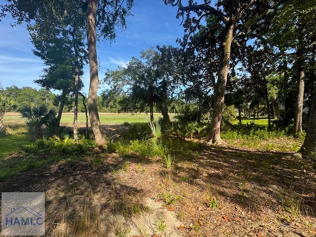 43 Belle Island Way, Richmond Hill, GA 31324 - view of local wilderness