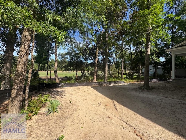 43 Belle Island Way, Richmond Hill, GA 31324 - view of yard