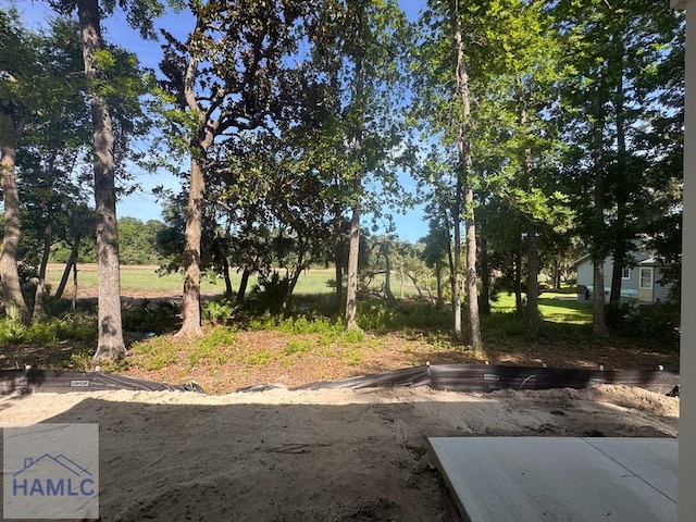 43 Belle Island Way, Richmond Hill, GA 31324 - view of yard