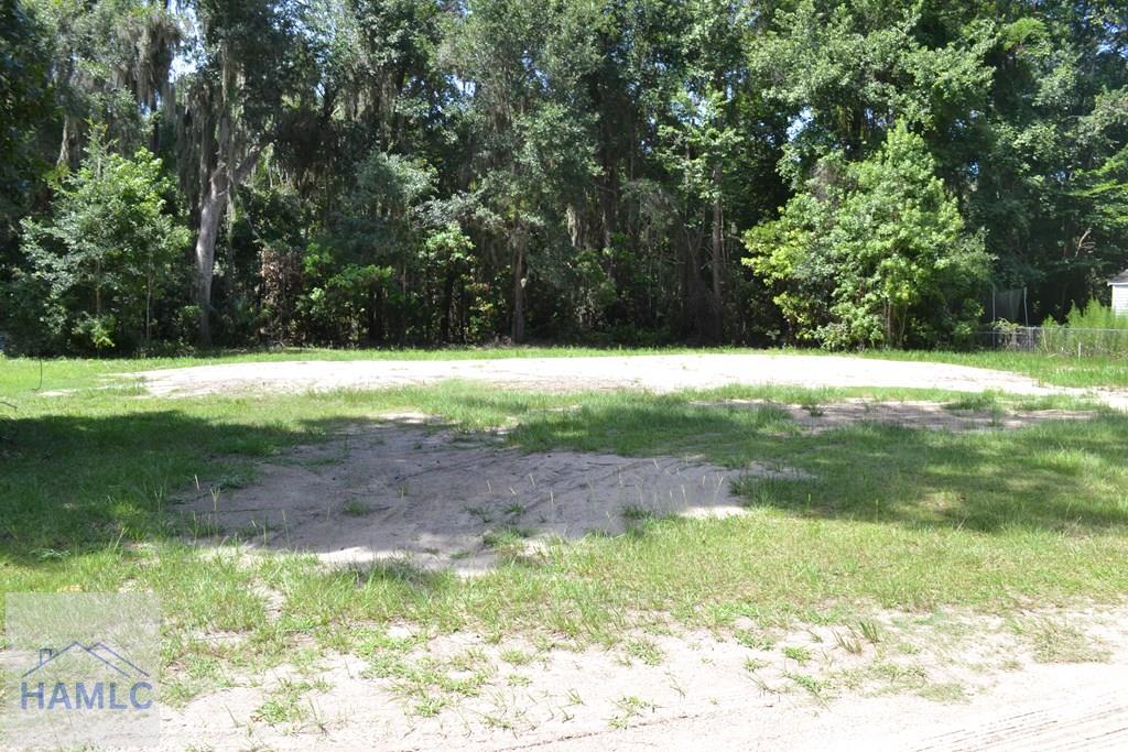 0 Alice Dr, Midway, GA 31320