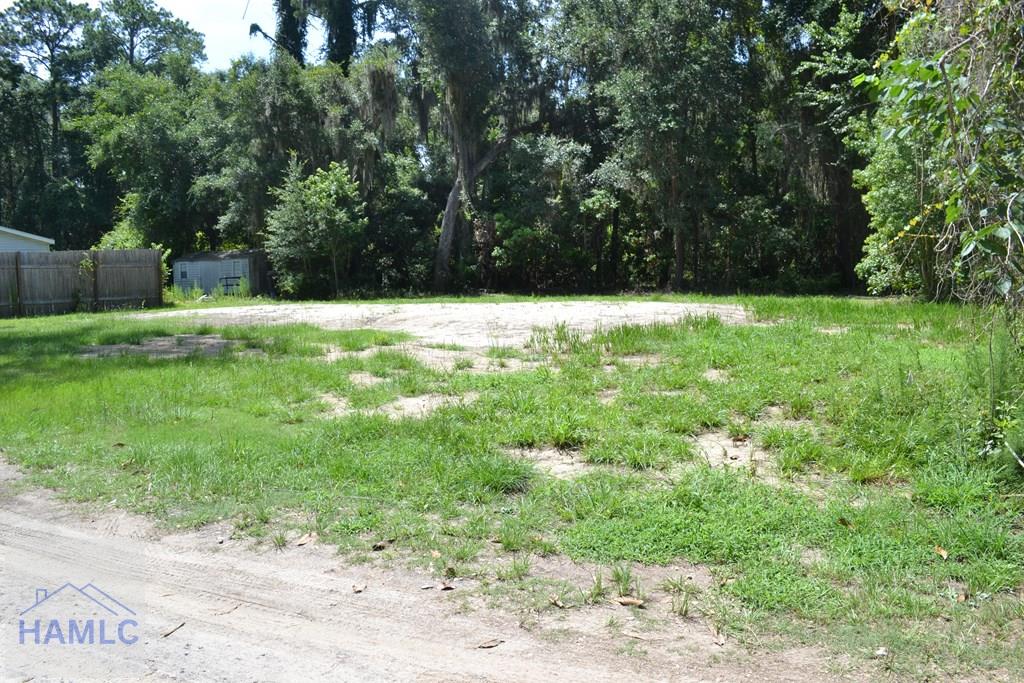 0 Alice Dr, Midway, GA 31320