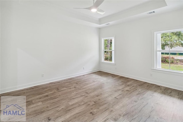 unfurnished room with light hardwood / wood-style floors, a wealth of natural light, and a tray ceiling