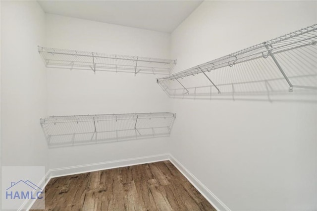 spacious closet with hardwood / wood-style floors