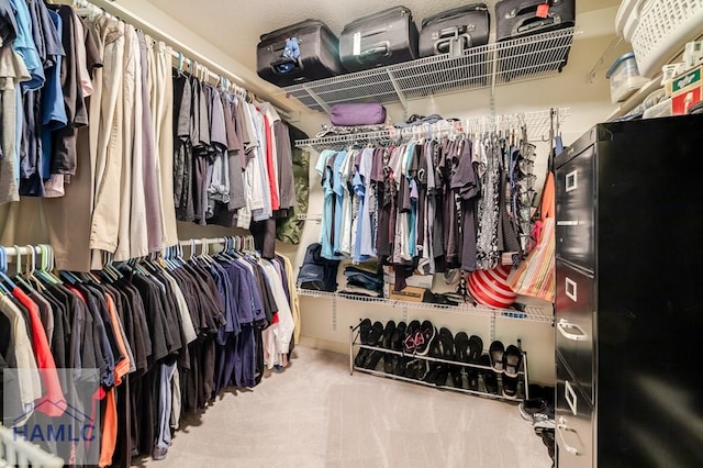 spacious closet featuring carpet flooring