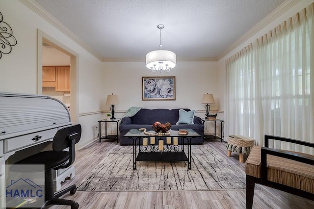 living area featuring a textured ceiling, light wood-type flooring, and ornamental molding