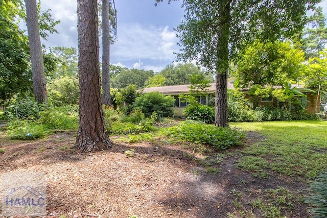 375 Eastridge Rd, Savannah, GA 31406 - view of yard