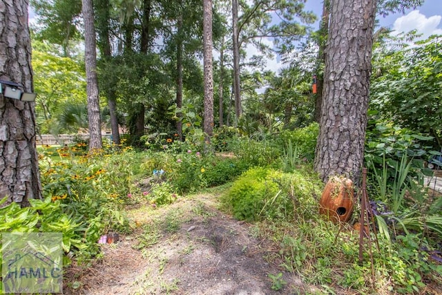 375 Eastridge Rd, Savannah, GA 31406 - view of yard