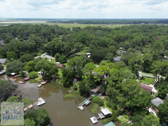 375 Eastridge Rd, Savannah, GA 31406 - birds eye view of property featuring a water view