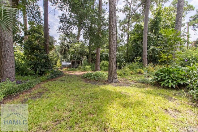 375 Eastridge Rd, Savannah, GA 31406 - view of yard