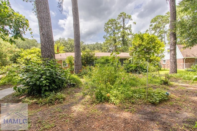 375 Eastridge Rd, Savannah, GA 31406 - view of yard