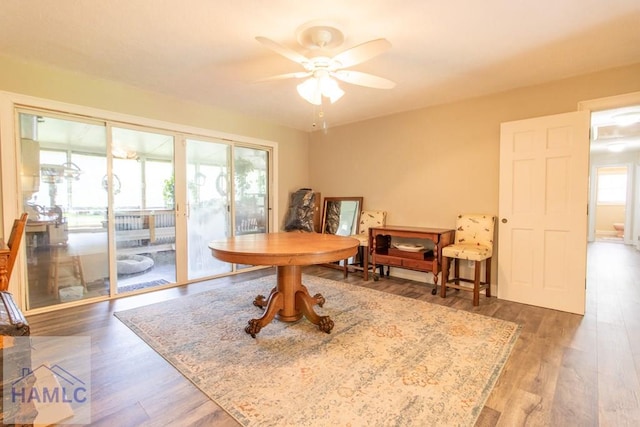 375 Eastridge Rd, Savannah, GA 31406 - dining room with dark hardwood / wood-style flooring, ceiling fan, and plenty of natural light