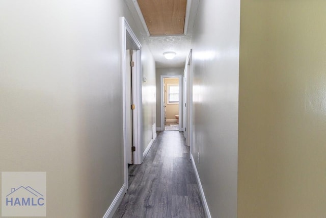 375 Eastridge Rd, Savannah, GA 31406 - hall featuring dark hardwood / wood-style flooring