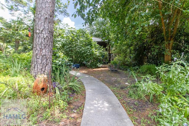 375 Eastridge Rd, Savannah, GA 31406 - view of yard