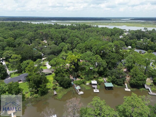 375 Eastridge Rd, Savannah, GA 31406 - birds eye view of property with a water view