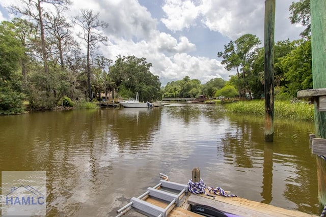 375 Eastridge Rd, Savannah, GA 31406 - view of water feature