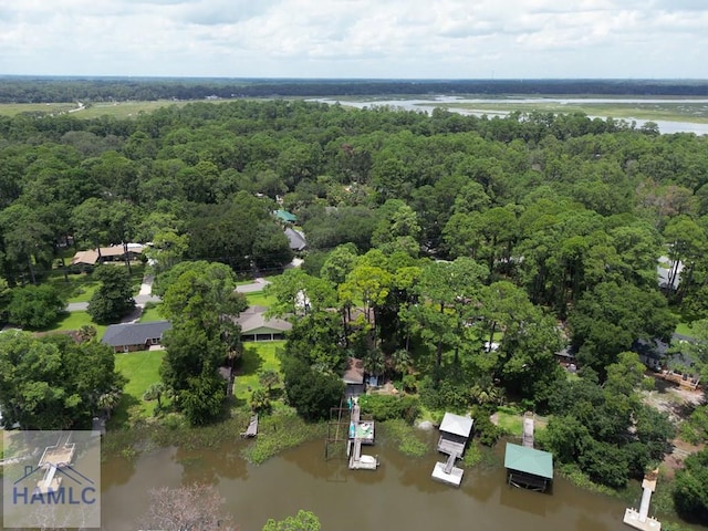 375 Eastridge Rd, Savannah, GA 31406 - bird's eye view featuring a water view
