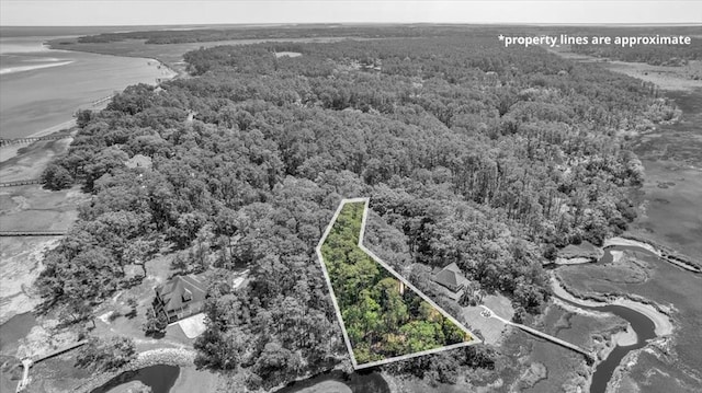 LOT208 Riverpoint Ln, Townsend GA, 31331 land for sale