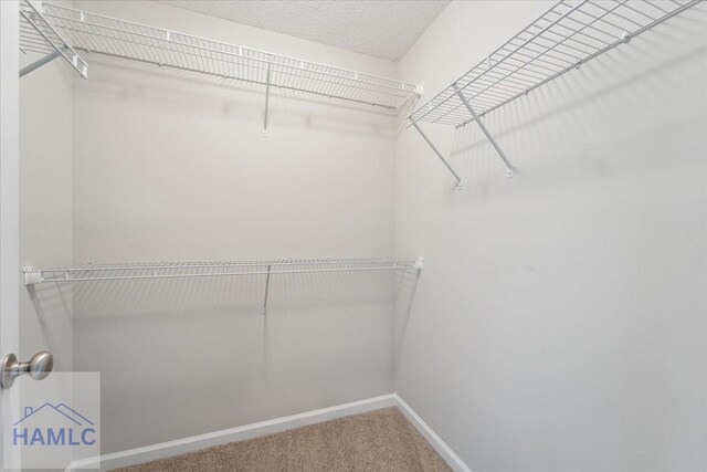7 Summerhill Dr, Ludowici, GA 31316 - walk in closet with carpet