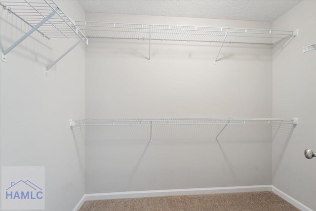 7 Summerhill Dr, Ludowici, GA 31316 - spacious closet with carpet flooring