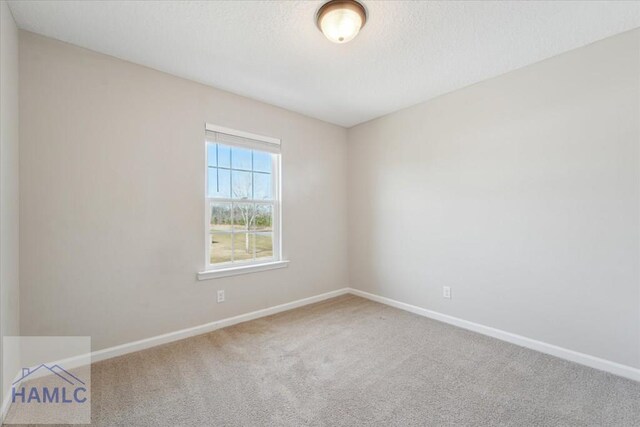 7 Summerhill Dr, Ludowici, GA 31316 - unfurnished room featuring baseboards, carpet, and a textured ceiling