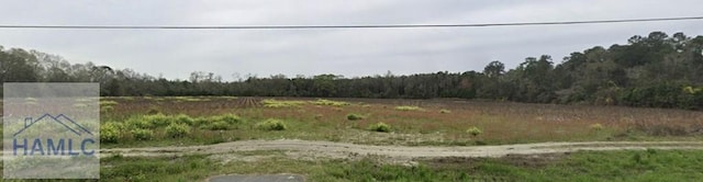 8303 US Highway 280, Ellabell, GA 31308