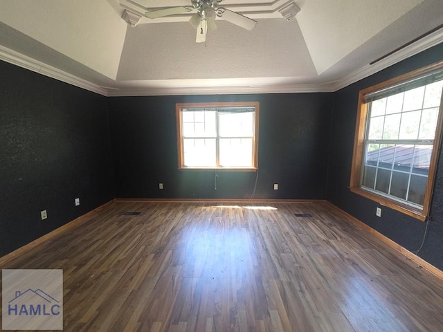 5927 Yellow Bluff Rd, Blackshear, GA 31516 - unfurnished room featuring lofted ceiling, a ceiling fan, a tray ceiling, wood finished floors, and ornamental molding