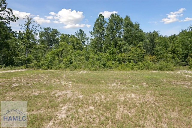 260 Linden Dr, Jesup, GA 31545 - view of wooded area