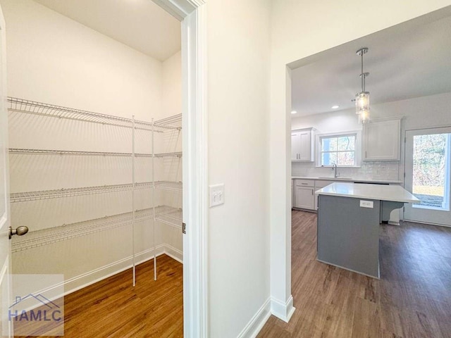 pantry with sink