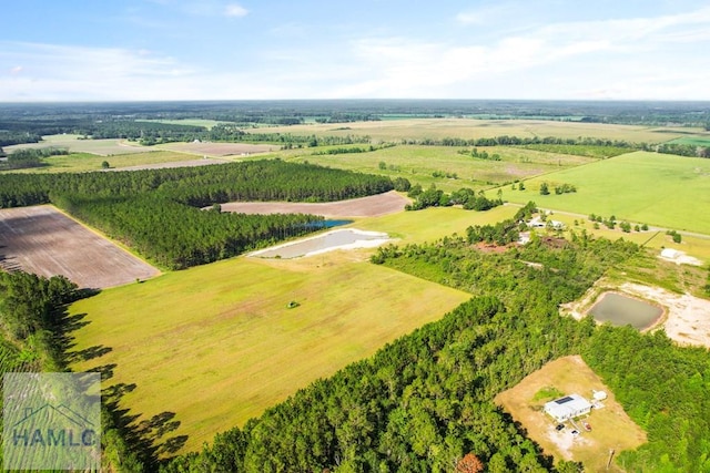 299 Collins Loop, Odum, GA 31555 - photo 21