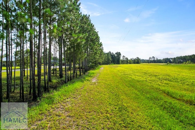299 Collins Loop, Odum, GA 31555 - photo 12