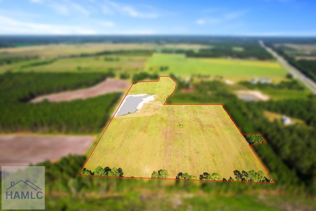 299 Collins Loop, Odum, GA 31555 - photo 2